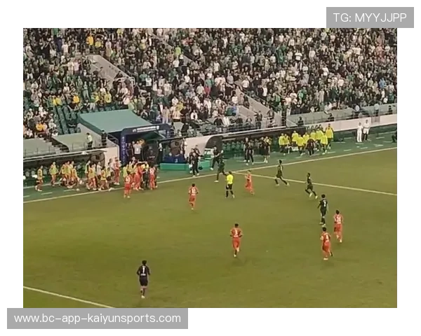 法比奥点球失手后再破门 24球刷新国安队史纪录 法比奥点球失手后再破门 24球刷新国安队史纪录